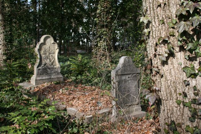 Harmony Grove Cemetery Before Rehabilitation